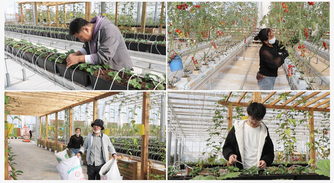 準(zhǔn)格爾旗現(xiàn)代智慧設(shè)施農(nóng)業(yè)產(chǎn)業(yè)園_13.jpg 準(zhǔn)格爾旗現(xiàn)代智慧設(shè)施農(nóng)業(yè)產(chǎn)業(yè)園_13.jpg