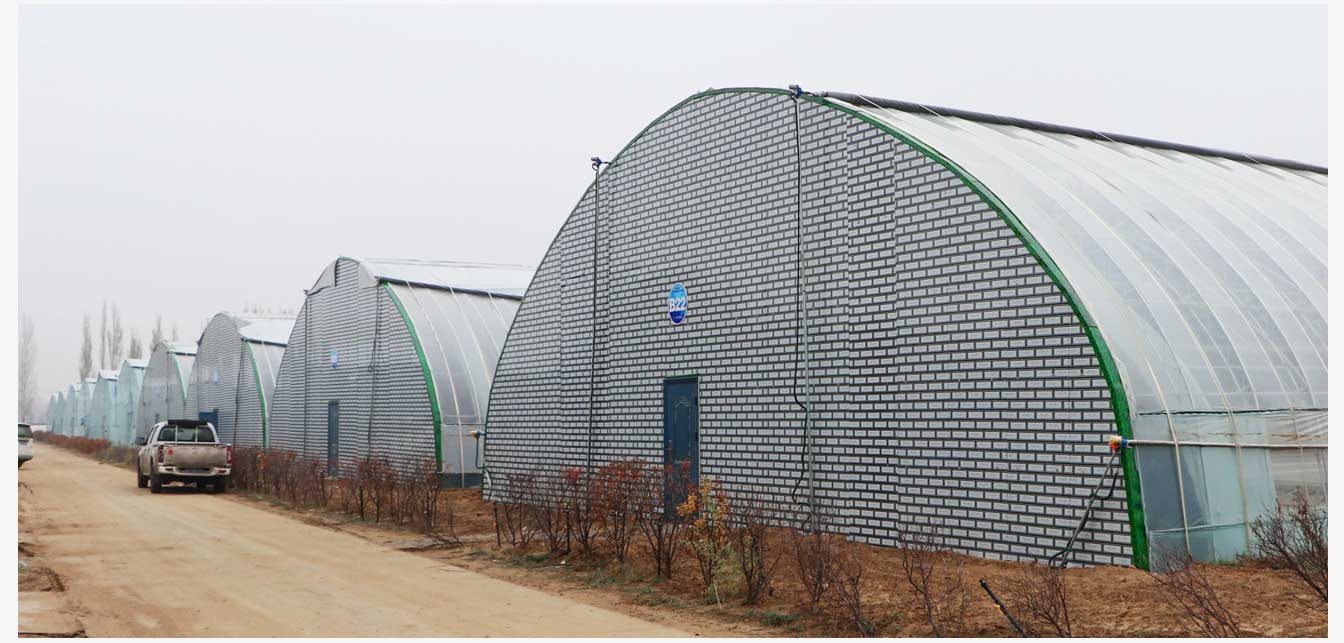 準格爾旗現(xiàn)代智慧設(shè)施農(nóng)業(yè)產(chǎn)業(yè)園（網(wǎng)頁）_24.jpg