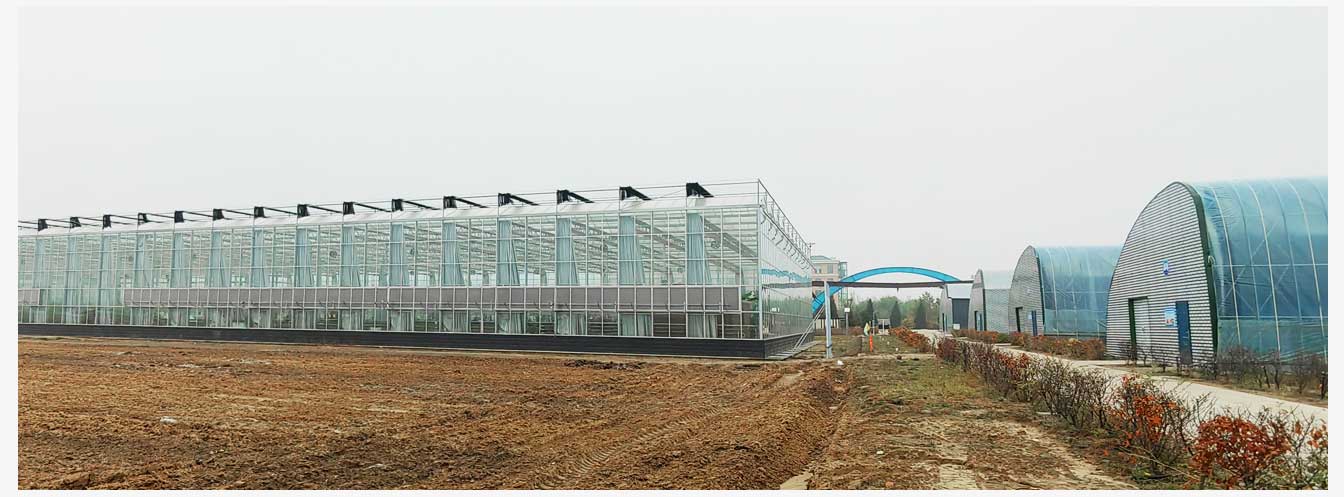 準格爾旗現(xiàn)代智慧設(shè)施農(nóng)業(yè)產(chǎn)業(yè)園（網(wǎng)頁）_29.jpg