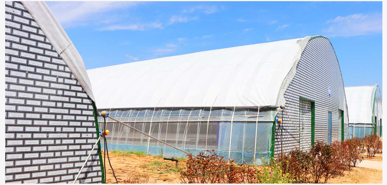 準格爾旗現(xiàn)代智慧設(shè)施農(nóng)業(yè)產(chǎn)業(yè)園（網(wǎng)頁）_26.jpg