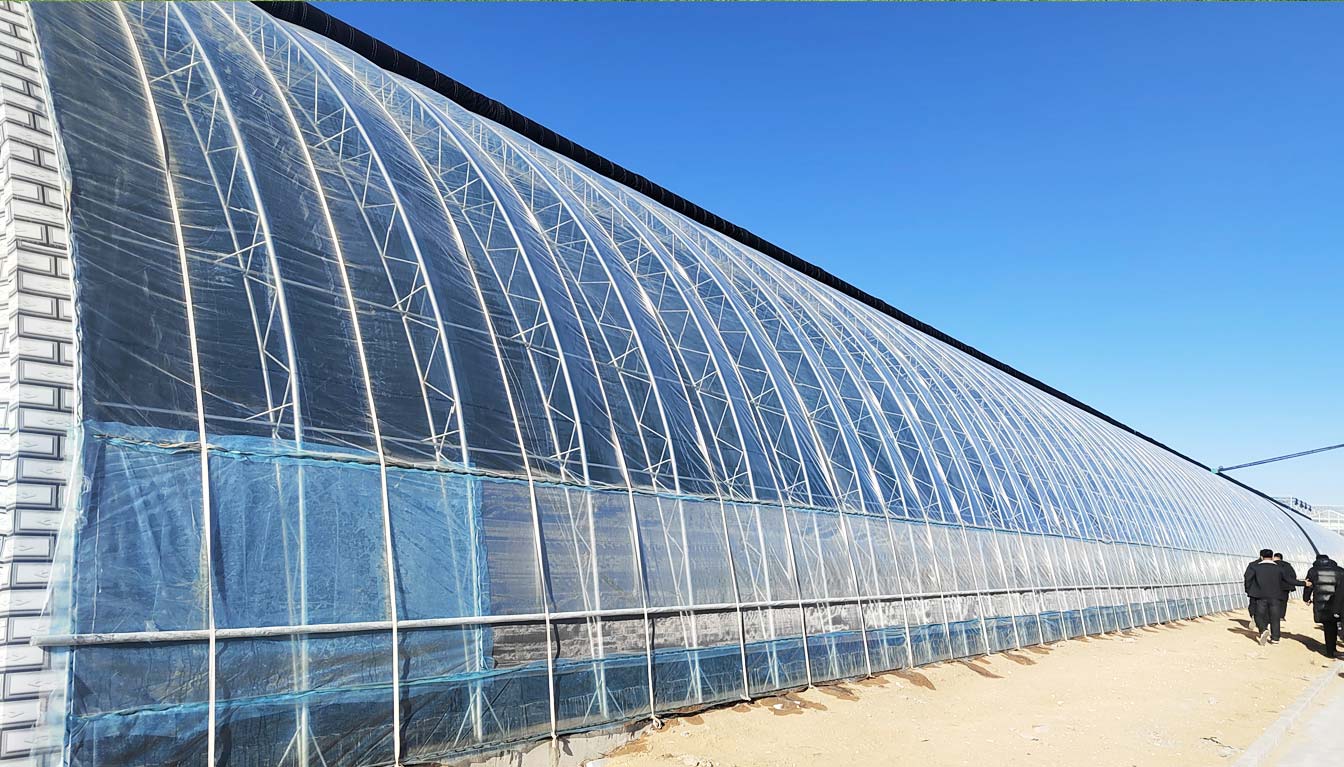 大路鎮(zhèn)苗家灘社區(qū)項目-智能溫室、日光溫室建設項目_08.jpg