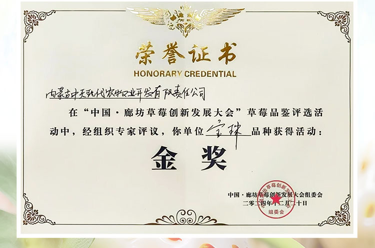 草莓1920網(wǎng)50像素2025年3月12日網(wǎng)頁(yè)_03.jpg 草莓1920網(wǎng)50像素2025年3月12日網(wǎng)頁(yè)_03.jpg