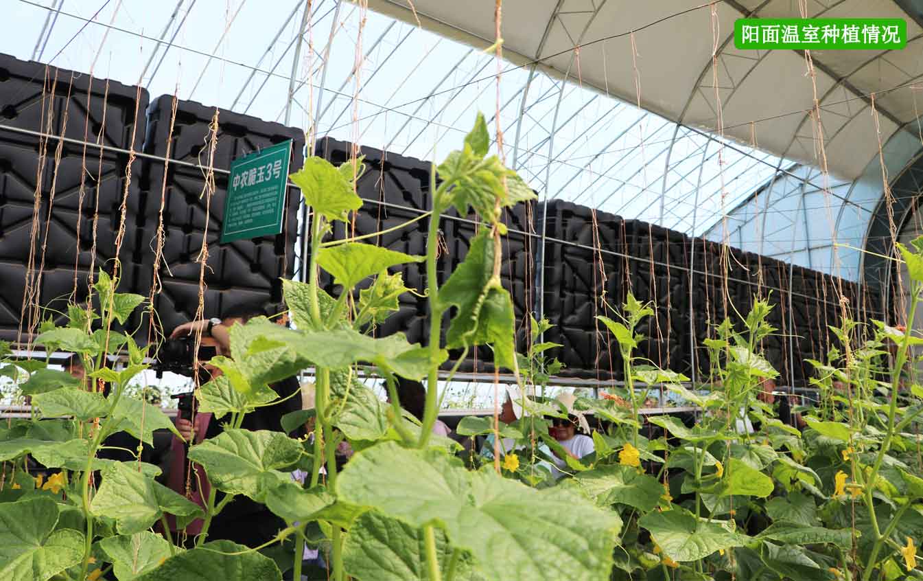 2、四季溫室網(wǎng)頁_12.jpg